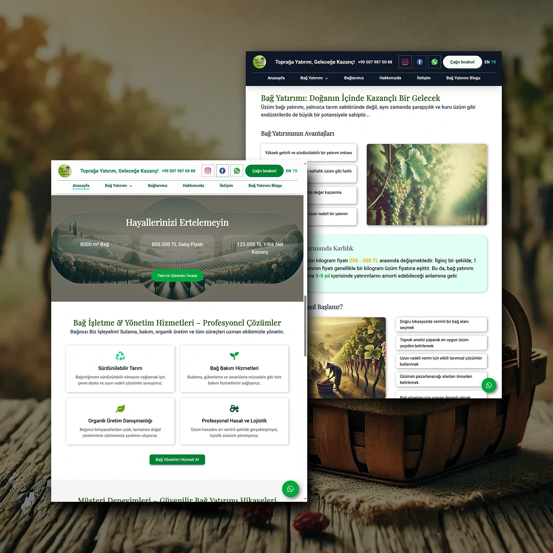 Vineyard Investment Website ekran görüntüsü 2