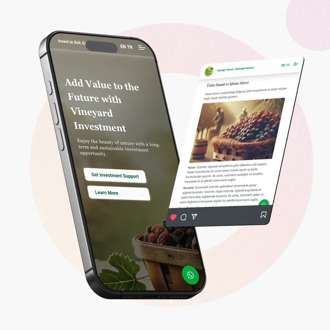Vineyard Investment Website ekran görüntüsü 1